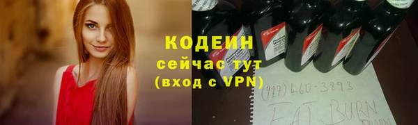 твердый Пересвет