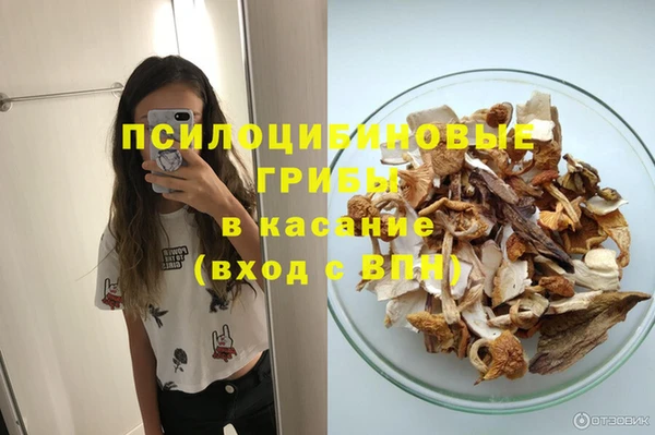соль ск Абаза